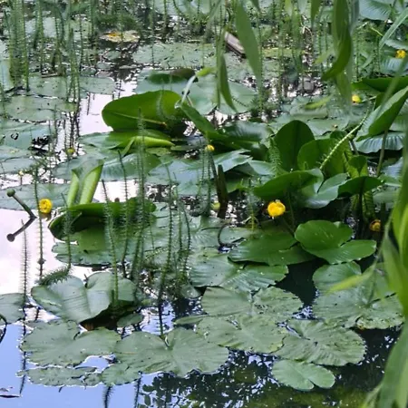 Apartamento Pod Górą Witosza